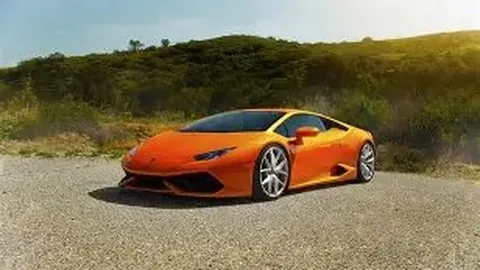 【梦想翱翔】双色球第2025141期五行秘籍揭晓：凤尾神选19、25，助你一飞冲天！